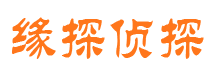 平安侦探